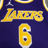 Los Angeles Lakers   purple 6 James  round neck  Flying Man Limited NBA Jerseys