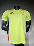 Spain  Away Player  1:1 24-25