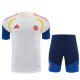 Colombia Training Special Edition  Fans White  1:1 Quality Soccer Jersey 26-27（2026）