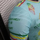 Ajax  Special Edition  player  1:1 Quality Soccer Jersey   25-26