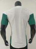 Italy training Special Edition Player 1:1 Quality Soccer Jersey   26-27（2026）