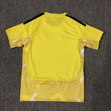 Scotland  Goalkeeper  Fans 1:1 Quality Soccer Jersey  26-27（2026）
