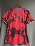 PSG Paris Special Edition fans 1:1 Quality Soccer Jersey    24-25