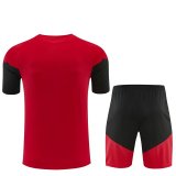 Germany Training  Fans Kits Red   (Kids And Man ) 1:1 Quality Soccer Jersey 26-27 (2026)