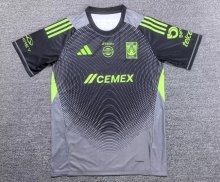 Tiger goalkeeper  player 1:1 Quality Soccer Jersey  25-26