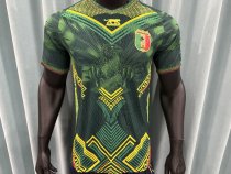 Mali  Home  Player 1:1 Quality Soccer Jersey 26-27 (2026)
