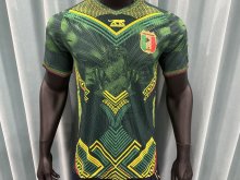 Mali  Home  Player 1:1 Quality Soccer Jersey 26-27 (2026)