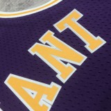 Los Angeles Lakers  Kobe #8 BRYANT  Mitchell & Ness 1996-97 Purple Hardwood Classics Swingman NBA Jersey