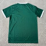 Retro Adidas Clover Oasis  T-shirt  Green Fans 1:1 Quality Soccer Jersey  25-26