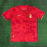 Spain training Special Edition Fans  1:1 Quality Soccer Jersey   24-25
