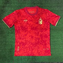 Spain training Special Edition Fans  1:1 Quality Soccer Jersey   24-25