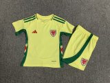 Welsh away  Kids 1:1 Quality Soccer Jersey  24-25