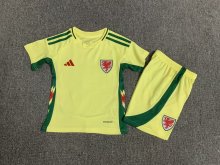 Welsh away  Kids 1:1 Quality Soccer Jersey  24-25