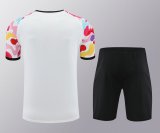 Manchester United Training clothing set 1:1 Quality Soccer Jersey   24-25