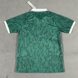 Palmeiras Special Edition fans 1:1 Quality Soccer Jersey  25-26