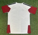 Germany Training Special Edition Fans White 1:1 Quality Soccer Jersey   26-27 (2026)