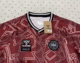 Denmark Special Edition Fans 1:1 Quality Soccer Jersey 24-25