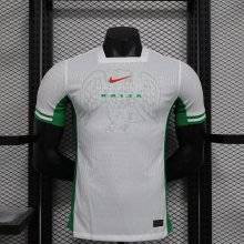 Nigeria  home  Player  1:1 Quality Soccer Jersey  24-25