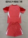 New York Red Bulls   goalkeeper fans kits  1:1 Quality Soccer Jersey   25-26 (kids and man )