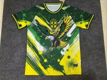 Brazil  Jesus Special Edition  fans 1:1 Quality Soccer Jersey  25-26