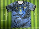 Brazil  Special Edition Fans  1:1 Quality Soccer Jersey  24-25