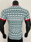 Nigeria Special Edition Player  1:1 Quality Soccer Jersey  23-24