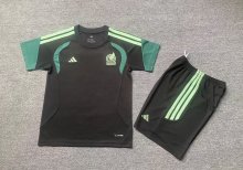 Mexico Training Kids   1:1 Quality Soccer Jersey 26-27 (2026)