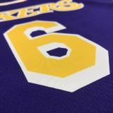 Los Angeles Lakers   purple 6 James  round neck  Flying Man Limited NBA Jerseys