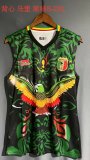 Mali Special Edition  vest   Fans  1:1 Quality Soccer Jersey   23-24