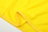 Retro Brazil Training  Tracksuit  Yellow  1:1 2002
