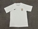 Uruguay Special Edition fans 1:1 Quality Soccer Jersey   24-25