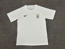 Uruguay Special Edition fans 1:1 Quality Soccer Jersey   24-25