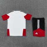 Germany Training  Fans Kits White (Kids And Man ) 1:1 Quality Soccer Jersey 26-27 (2026)