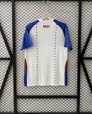 Haiti Away Fans 1:1 Quality Soccer Jersey  26-27 (2026)