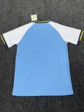 Burkina Faso Special Edition Blue fans 1:1 Quality Soccer Jersey 25-26