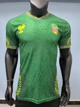 Mali Away player  1:1 Quality Soccer Jersey   25-26
