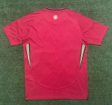 Welsh Home Fans 1:1 Quality Soccer Jersey  24-25