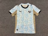 Palermo Third Fans  1:1 Quality Soccer Jersey   25-26