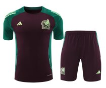 Mexico Training clothing set  1:1 Quality Soccer Jersey    24-25