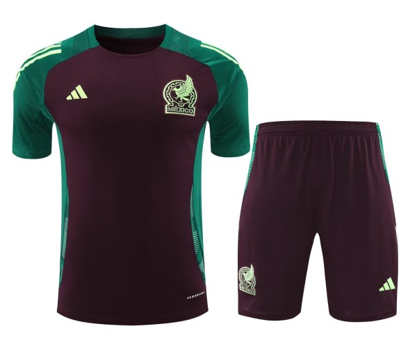 Mexico Training clothing set  1:1 Quality Soccer Jersey    24-25