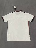 Japan Special Edition  Fans 1:1 Quality Soccer Jersey  24-25