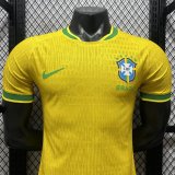 Brazil Special Edition  player 1:1 Quality Soccer Jersey  26-27 (2026)