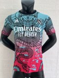 Real Madrid  Special Edition  Summary Player  1:1 Quality Soccer Jersey   24-25