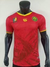 Cameroon away Player   1:1 Quality Soccer Jersey  25-26