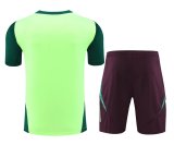 Mexico Training clothing set  1:1 Quality Soccer Jersey    24-25