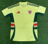 Welsh away Fans 1:1 Quality Soccer Jersey  24-25
