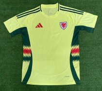 Welsh away Fans 1:1 Quality Soccer Jersey  24-25