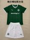 Palmeiras Home  Fans 1:1 Quality Soccer Jersey  25-26 (kids and man )