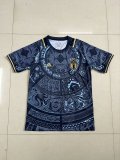 Italy anniversary edition  Fans 1:1 Quality Soccer Jersey  24-25