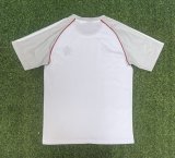 Olympique Lyonnais（OL）T-shirt Special Edition Fans 1:1 Quality Soccer Jersey 25-26